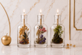 Truth & Transformation Trio: 3 oz